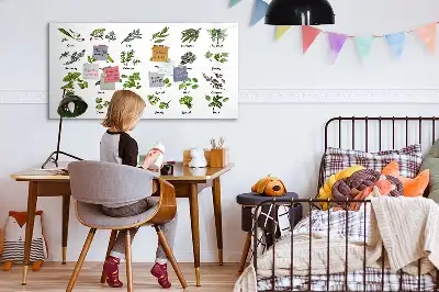 Popisovatelná magnetická tabule s motivem druhy stromů