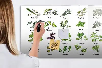Popisovatelná magnetická tabule s motivem druhy stromů