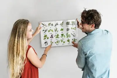 Popisovatelná magnetická tabule s motivem druhy stromů