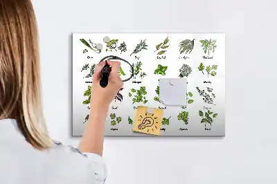 Popisovatelná magnetická tabule s motivem druhy stromů