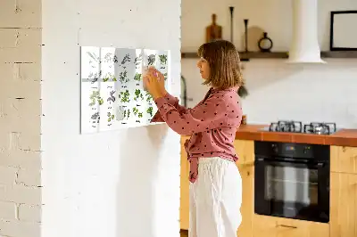Popisovatelná magnetická tabule s motivem druhy stromů