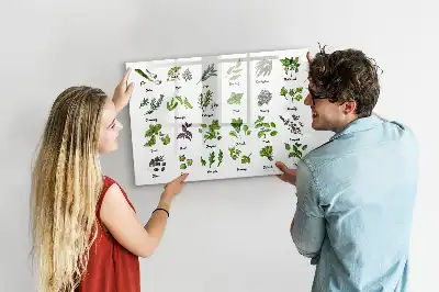 Popisovatelná magnetická tabule s motivem druhy stromů
