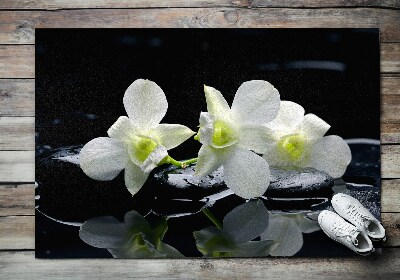 Rohožka Orchideje