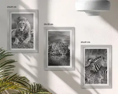 Sada tří obrazů divoká zvířata savany se lvem, jaguárem a zebrou