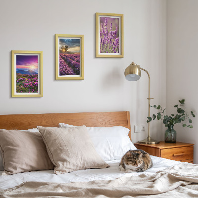 Sada obrazů na zeď Krajina s levandulovými poli a západem slunce