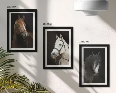 Sada obrazů na zeď portréty koní v různých odstínech srsti