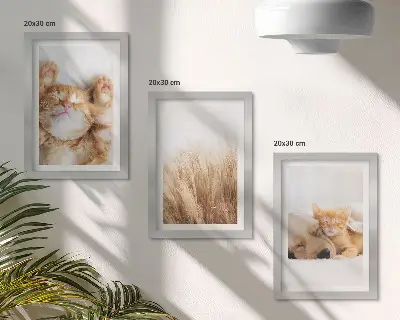 Vícedílný obraz v rámu roztomilá zvířata s kočkami a psy v boho stylu na jemné trávě