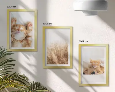 Vícedílný obraz v rámu roztomilá zvířata s kočkami a psy v boho stylu na jemné trávě