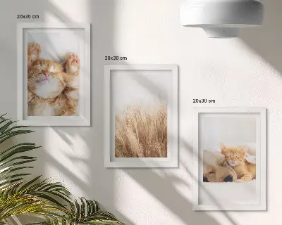 Vícedílný obraz v rámu roztomilá zvířata s kočkami a psy v boho stylu na jemné trávě