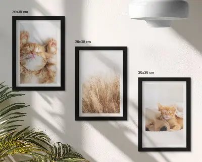 Vícedílný obraz v rámu roztomilá zvířata s kočkami a psy v boho stylu na jemné trávě