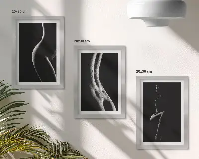 Sada obrazů na zeď černobílé ženské erotické siluety