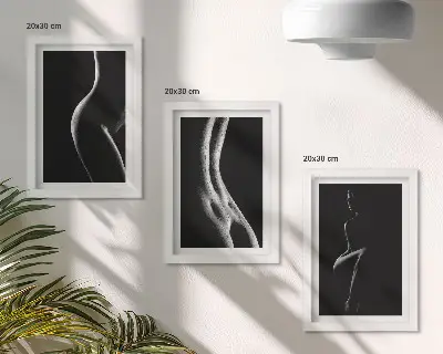 Sada obrazů na zeď černobílé ženské erotické siluety