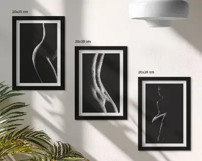Sada obrazů na zeď černobílé ženské erotické siluety