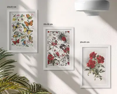Sada tří obrazů s motivem motýlů, květin a červených růží v klasickém stylu