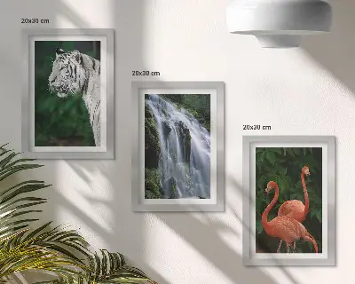 Sada obrazů na zeď tygří vodopád a růžoví plameňáci v přírodě