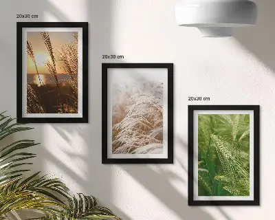 Sada obrazů na zeď barevná příroda s motivem různých druhů trávy