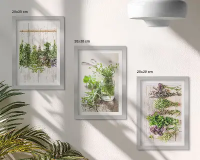 Vícedílný obraz v rámu sušené bylinky a rostliny do kuchyně