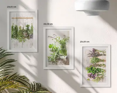 Vícedílný obraz v rámu sušené bylinky a rostliny do kuchyně