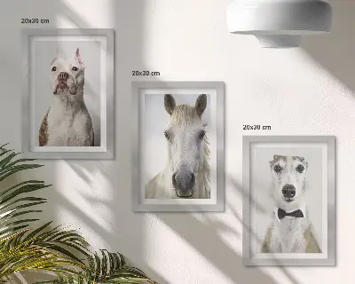 Sada tří obrazů s portréty psů a koní v elegantním stylu
