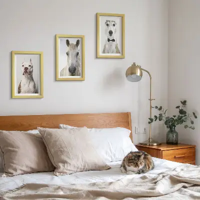 Sada tří obrazů s portréty psů a koní v elegantním stylu