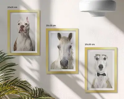 Sada tří obrazů s portréty psů a koní v elegantním stylu