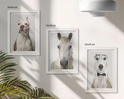 Sada tří obrazů s portréty psů a koní v elegantním stylu