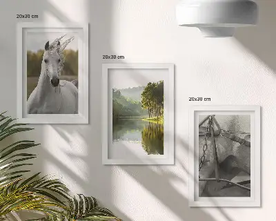 Bílí koně u řeky sada tří obrazů s přírodní krajinou