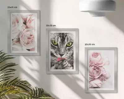 Sada tří obrazů kočka mezi růžovými květy růží a pivoněk