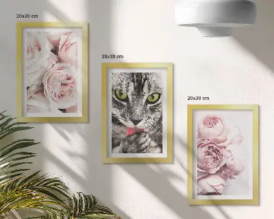 Sada tří obrazů kočka mezi růžovými květy růží a pivoněk