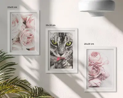 Sada tří obrazů kočka mezi růžovými květy růží a pivoněk