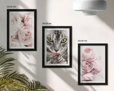 Sada tří obrazů kočka mezi růžovými květy růží a pivoněk