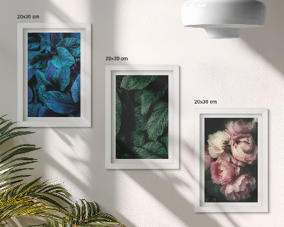 Sada obrazů na zeď Listy a květy v různých barvách