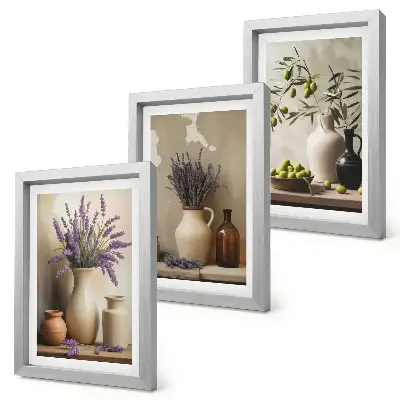 Sada tří obrazů květiny ve vázách s olivami a přírodní dekorací