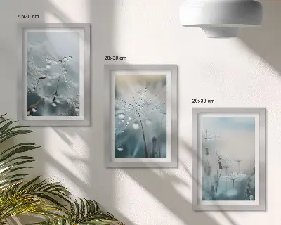 Sada obrazů na zeď kapky rosy na křehkých pampeliškách