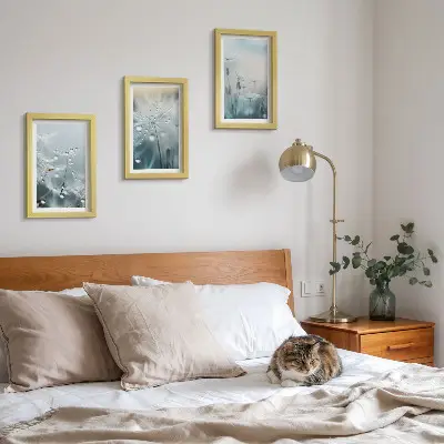 Sada obrazů na zeď kapky rosy na křehkých pampeliškách
