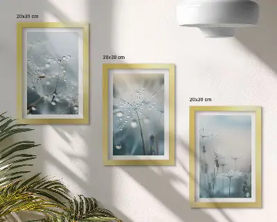 Sada obrazů na zeď kapky rosy na křehkých pampeliškách