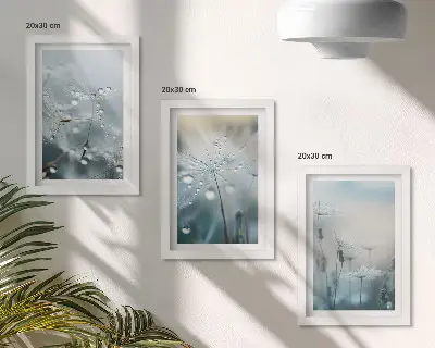 Sada obrazů na zeď kapky rosy na křehkých pampeliškách