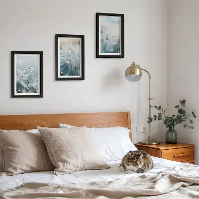 Sada obrazů na zeď kapky rosy na křehkých pampeliškách