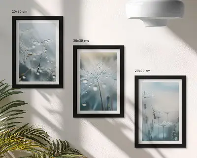 Sada obrazů na zeď kapky rosy na křehkých pampeliškách