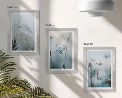 Jemné pampelišky s kapkami vody sada tří obrazů