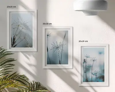 Jemné pampelišky s kapkami vody sada tří obrazů