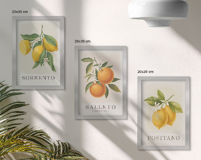 Sada obrazů na zeď Citrony a pomeranče z italského pobřeží Amalfi