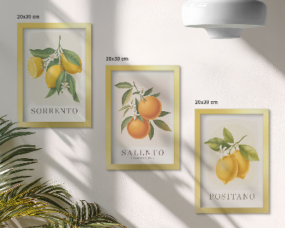 Sada obrazů na zeď Citrony a pomeranče z italského pobřeží Amalfi