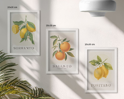 Sada obrazů na zeď Citrony a pomeranče z italského pobřeží Amalfi