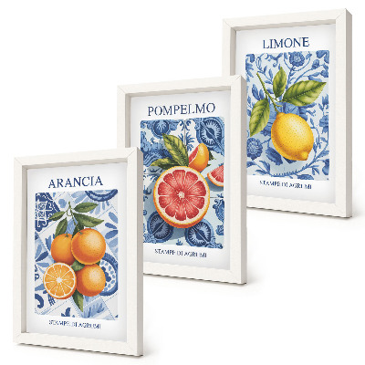 Vícedílný obraz v rámu Ilustrace vintage citrusových plodů