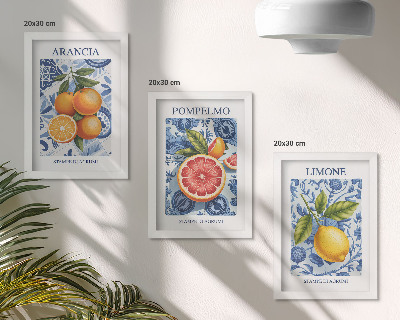 Vícedílný obraz v rámu Ilustrace vintage citrusových plodů