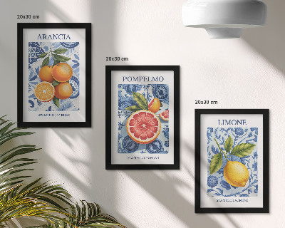 Vícedílný obraz v rámu Ilustrace vintage citrusových plodů