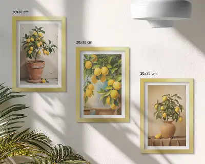 Citroníky v květináčích a vázách sada tří obrazů