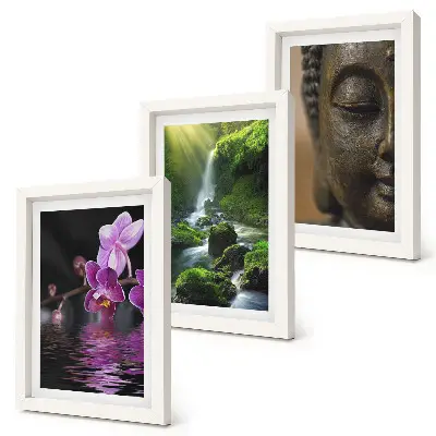 Sada obrazů na zeď květiny ve vodopádu se zelenými kameny a Buddha