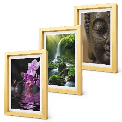 Sada obrazů na zeď květiny ve vodopádu se zelenými kameny a Buddha